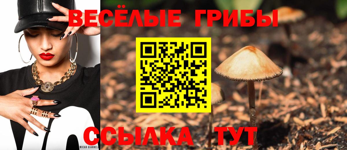 Алушта  Псилоцибиновые грибы мицелий  Вход с VPN  Галлюциногенные грибы GOLDEN TEACHER 